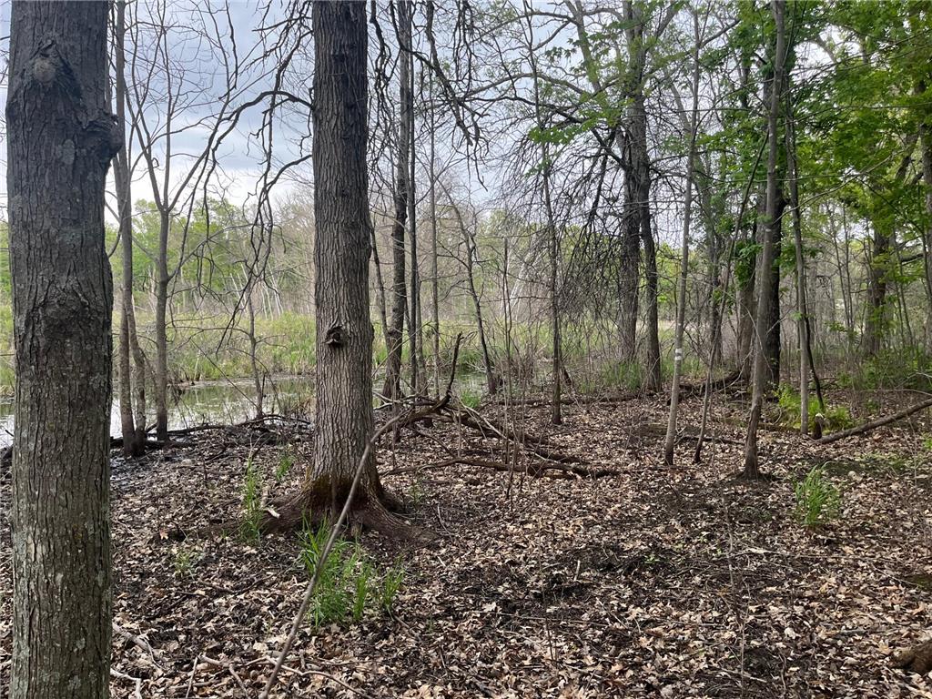 xxx Crust Road Brainerd MN 56401 6722596 image50