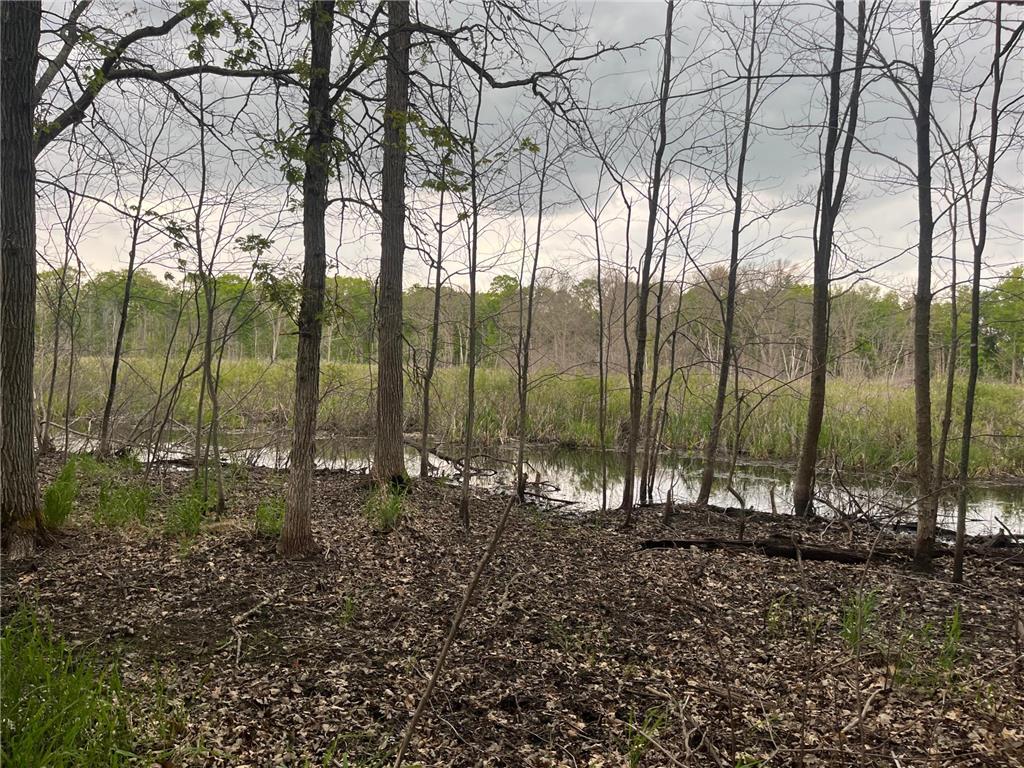 xxx Crust Road Brainerd MN 56401 6722596 image51