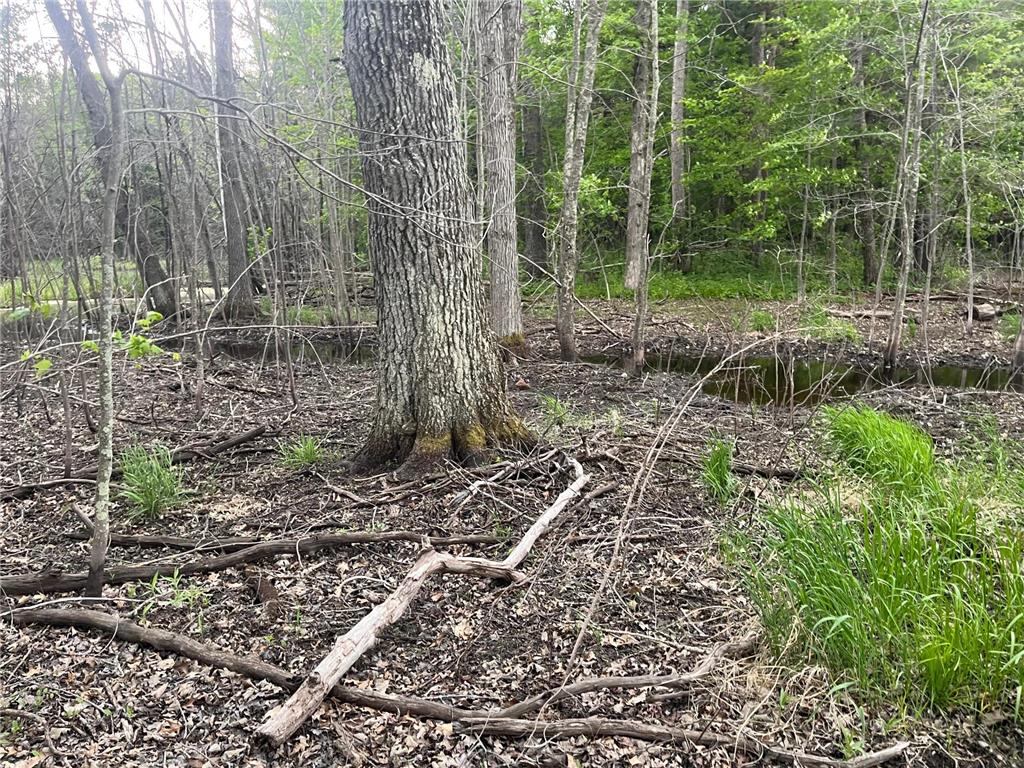 xxx Crust Road Brainerd MN 56401 6722596 image52