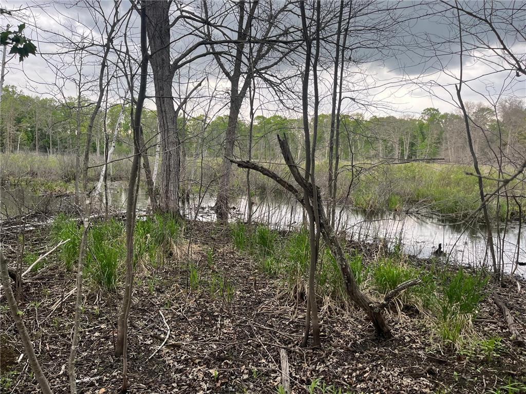 xxx Crust Road Brainerd MN 56401 6722596 image53