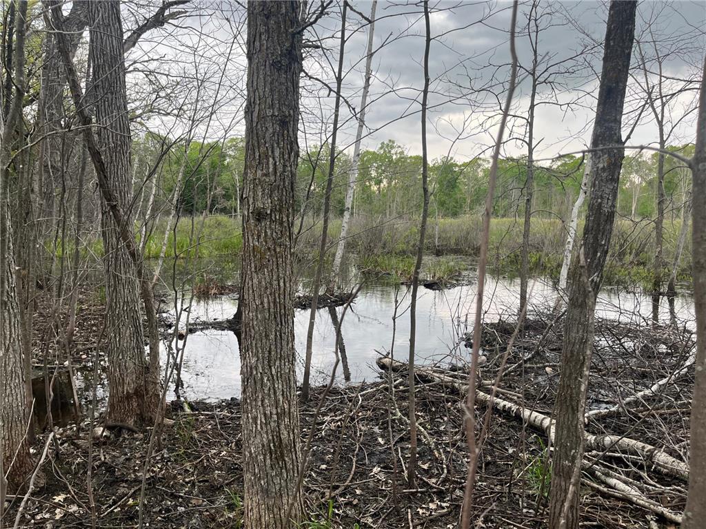 xxx Crust Road Brainerd MN 56401 6722596 image54