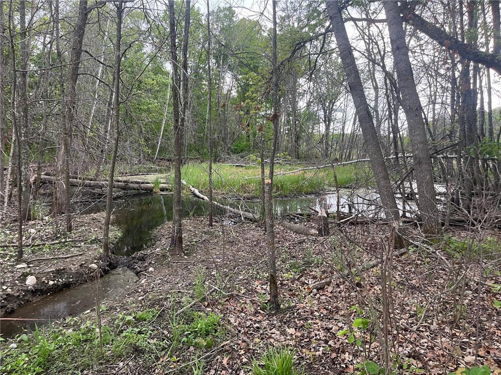 xxx Crust Road Brainerd MN 56401 6722596 image56