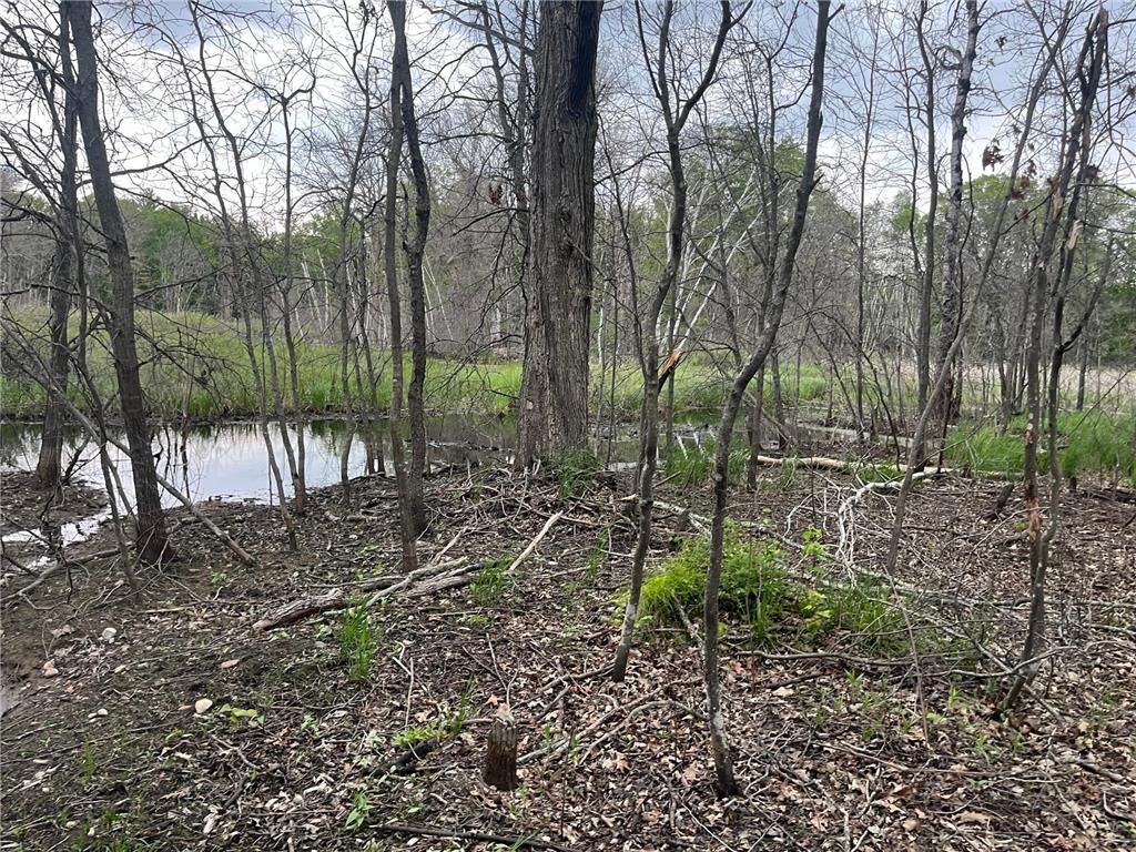 xxx Crust Road Brainerd MN 56401 6722596 image57