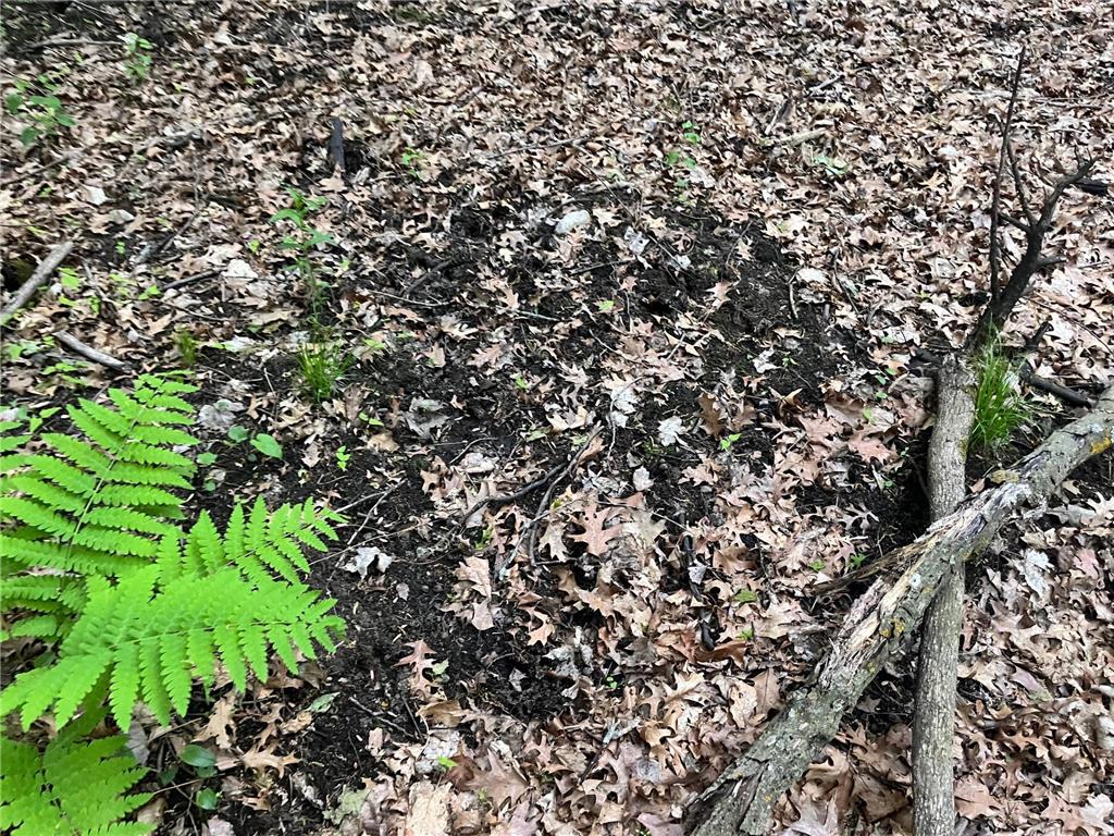 xxx Crust Road Brainerd MN 56401 6722596 image6