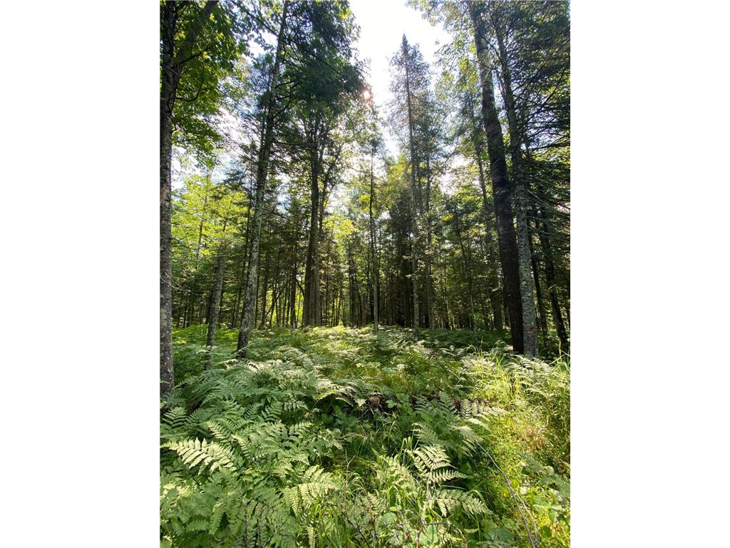 xxx Crystal Lake Road Barnum MN 55707 6249743 image1