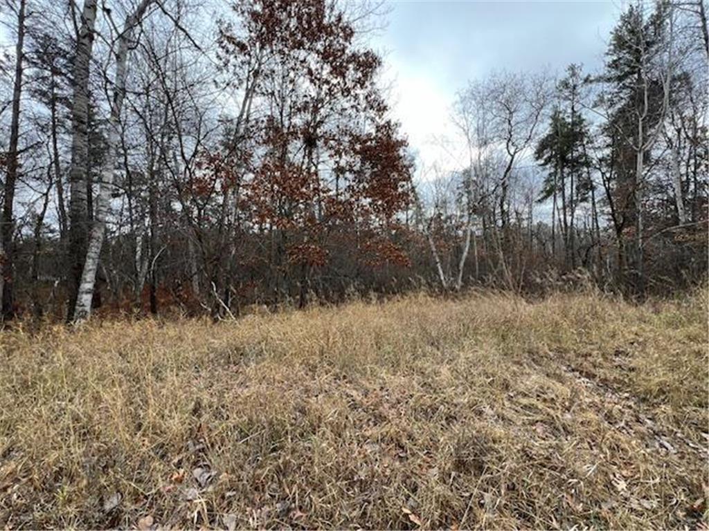 xxx Dewdrop Circle Breezy Point MN 56472 6632357 image1