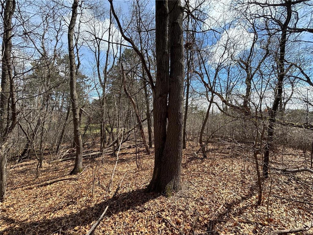 xxx E Viking Boulevard Wyoming MN 55092 6711868 image2