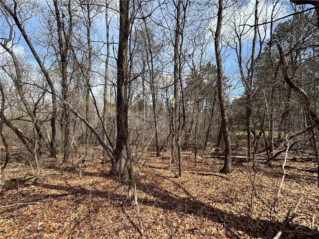 xxx E Viking Boulevard Wyoming MN 55092 6711868 image3