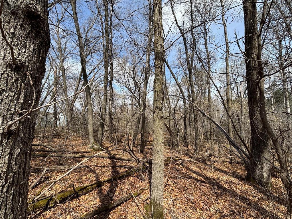 xxx E Viking Boulevard Wyoming MN 55092 6711868 image4