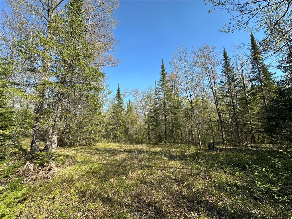 xxx Elm Road Barnum MN 55707 6721274 image10