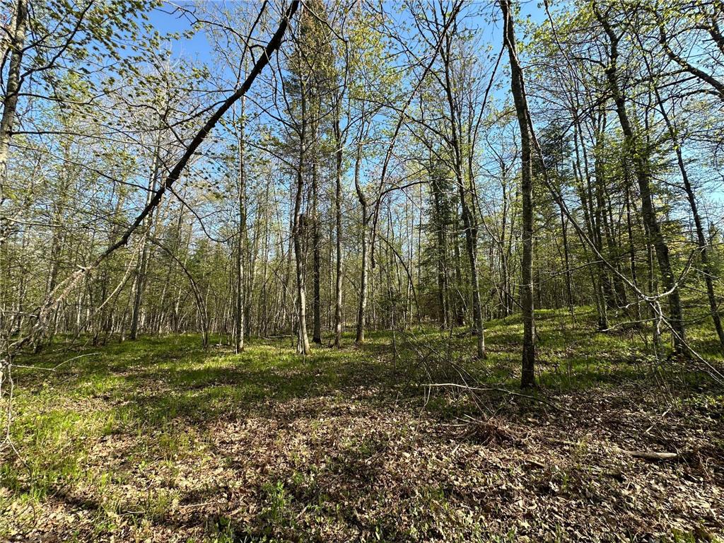 xxx Elm Road Barnum MN 55707 6721274 image12