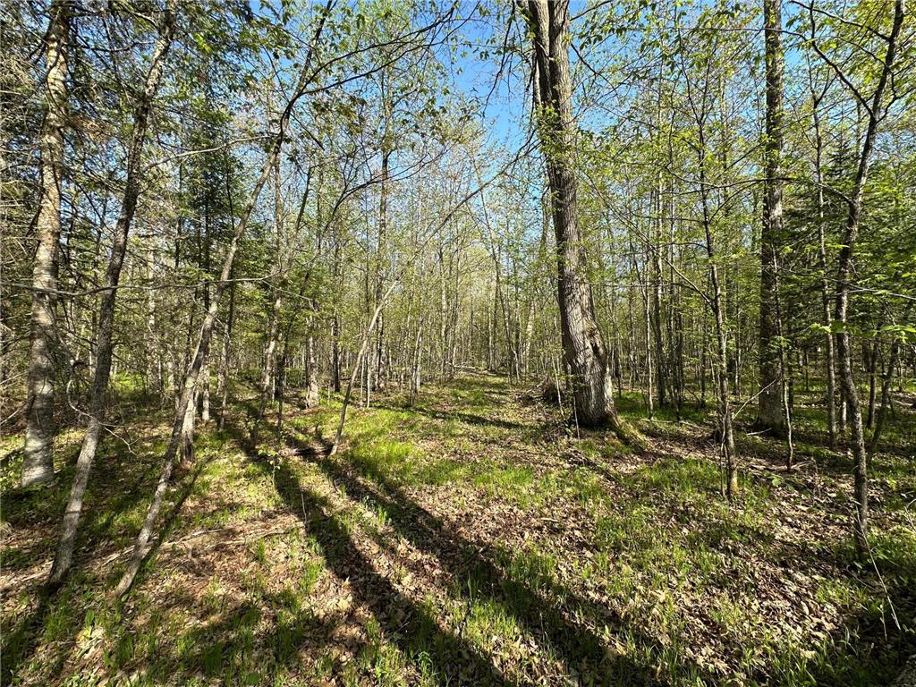 xxx Elm Road Barnum MN 55707 6721274 image13