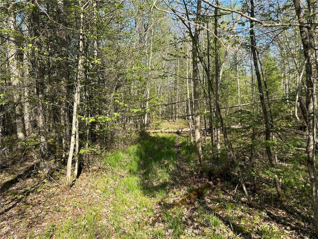 xxx Elm Road Barnum MN 55707 6721274 image14