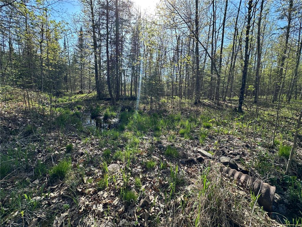 xxx Elm Road Barnum MN 55707 6721274 image15