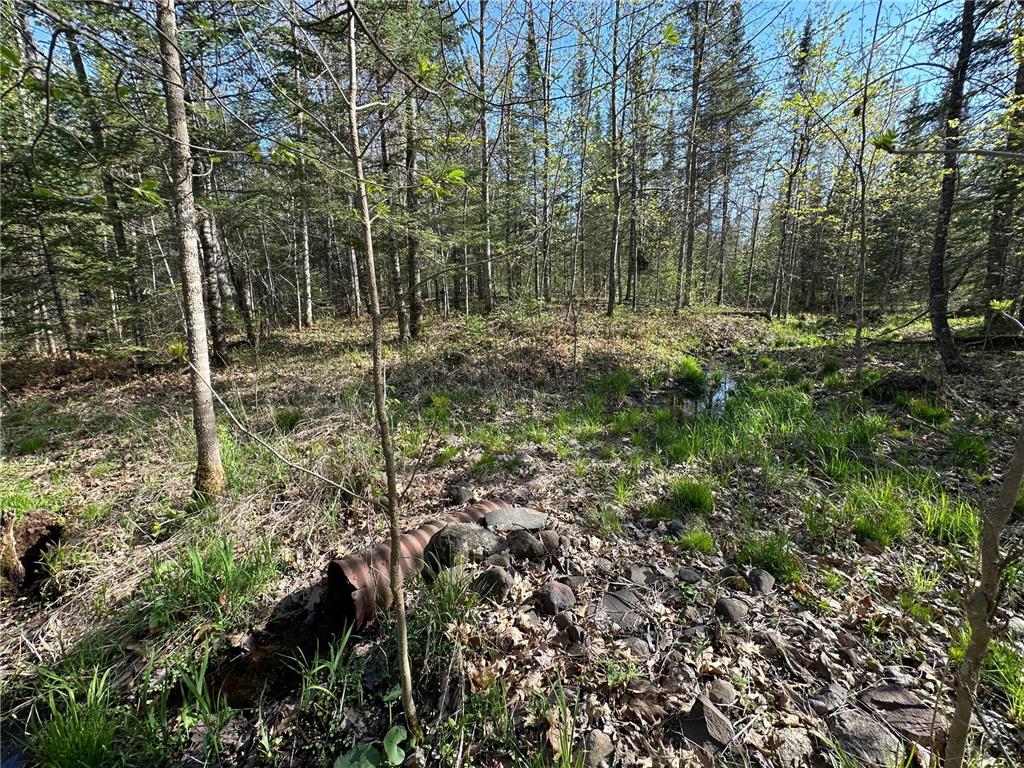 xxx Elm Road Barnum MN 55707 6721274 image16