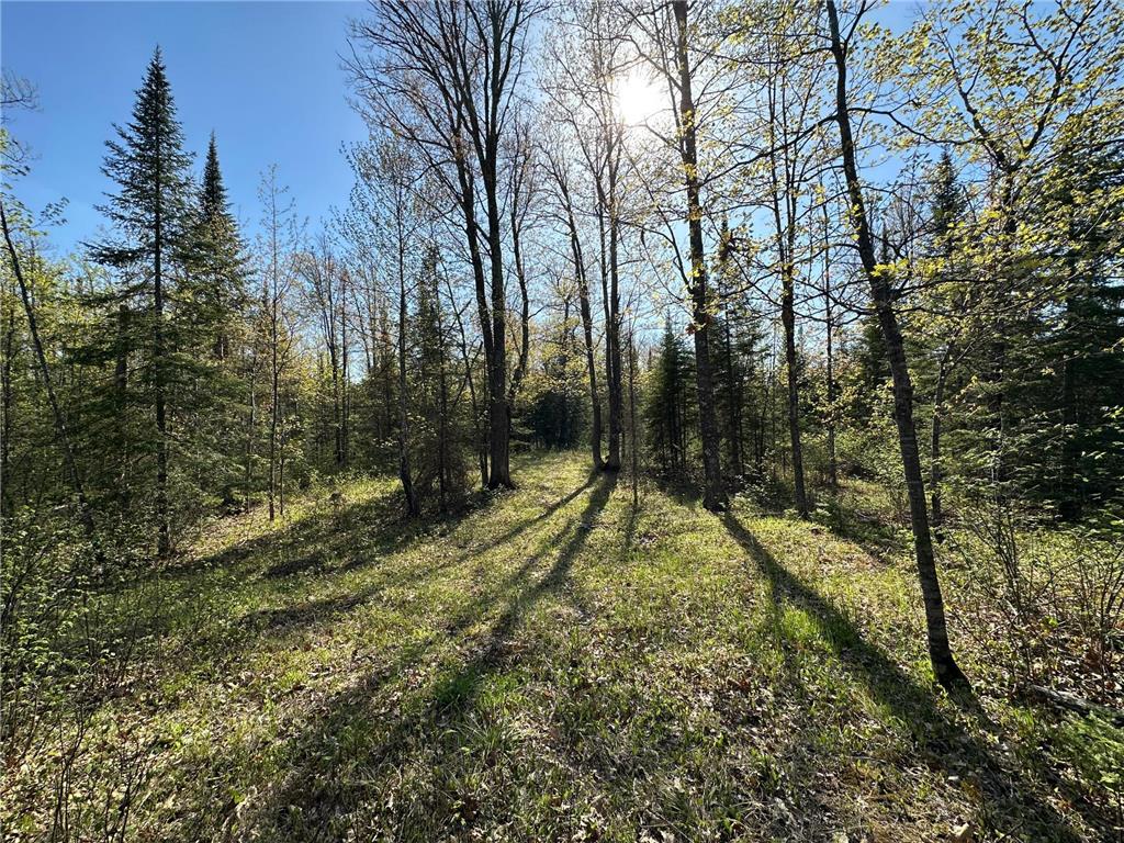 xxx Elm Road Barnum MN 55707 6721274 image19