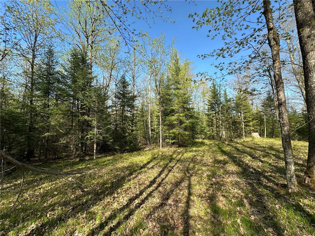 xxx Elm Road Barnum MN 55707 6721274 image2