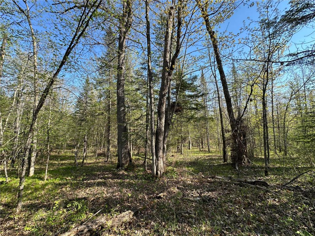 xxx Elm Road Barnum MN 55707 6721274 image20