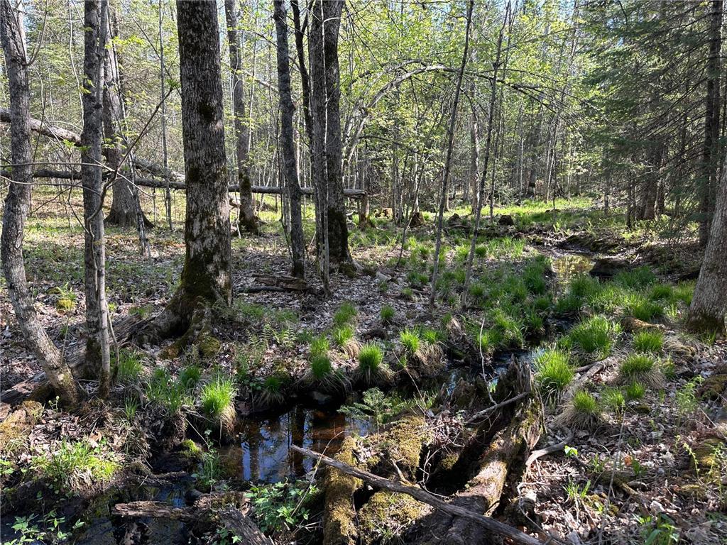 xxx Elm Road Barnum MN 55707 6721274 image22