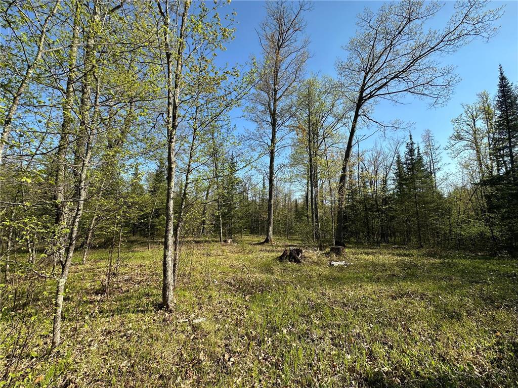 xxx Elm Road Barnum MN 55707 6721274 image23