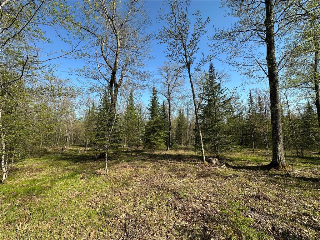 xxx Elm Road Barnum MN 55707 6721274 image24