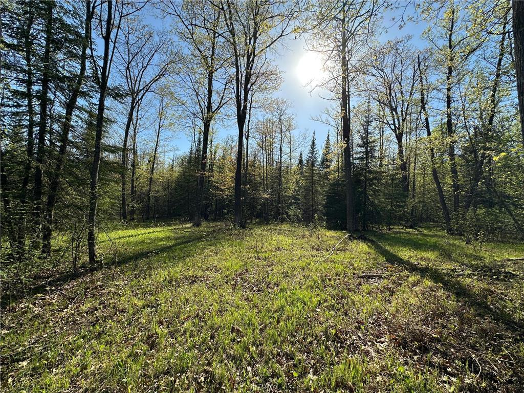 xxx Elm Road Barnum MN 55707 6721274 image25