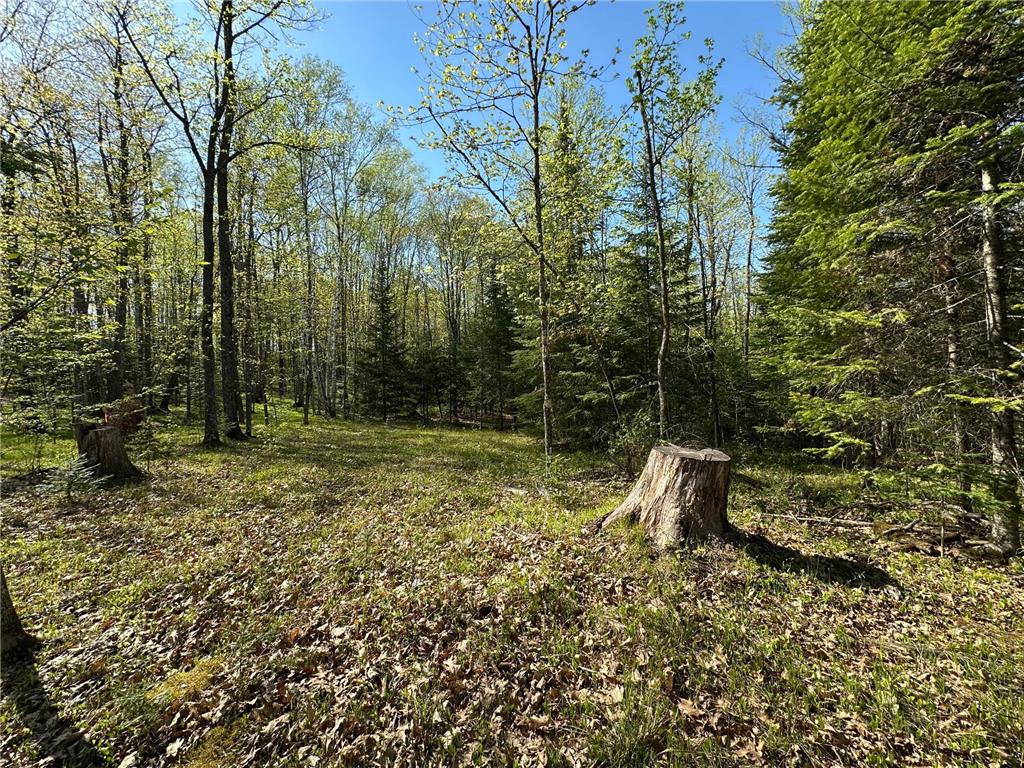 xxx Elm Road Barnum MN 55707 6721274 image3