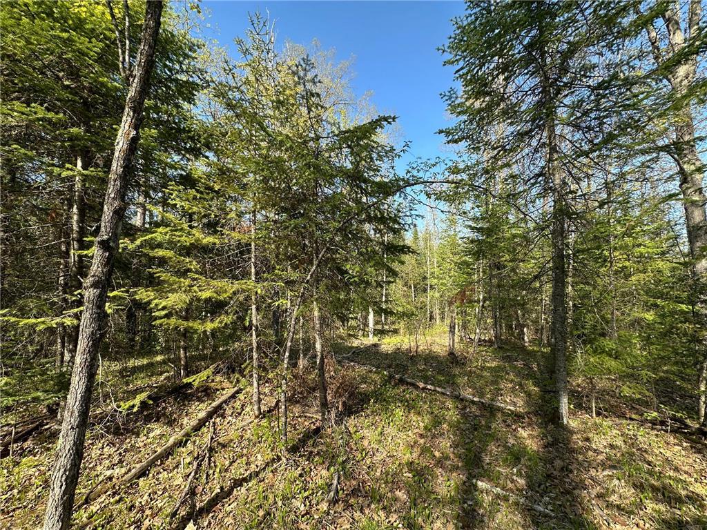 xxx Elm Road Barnum MN 55707 6721274 image4