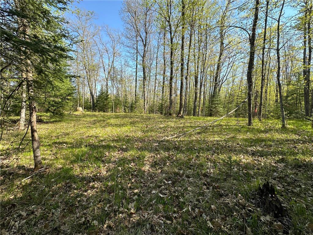 xxx Elm Road Barnum MN 55707 6721274 image6