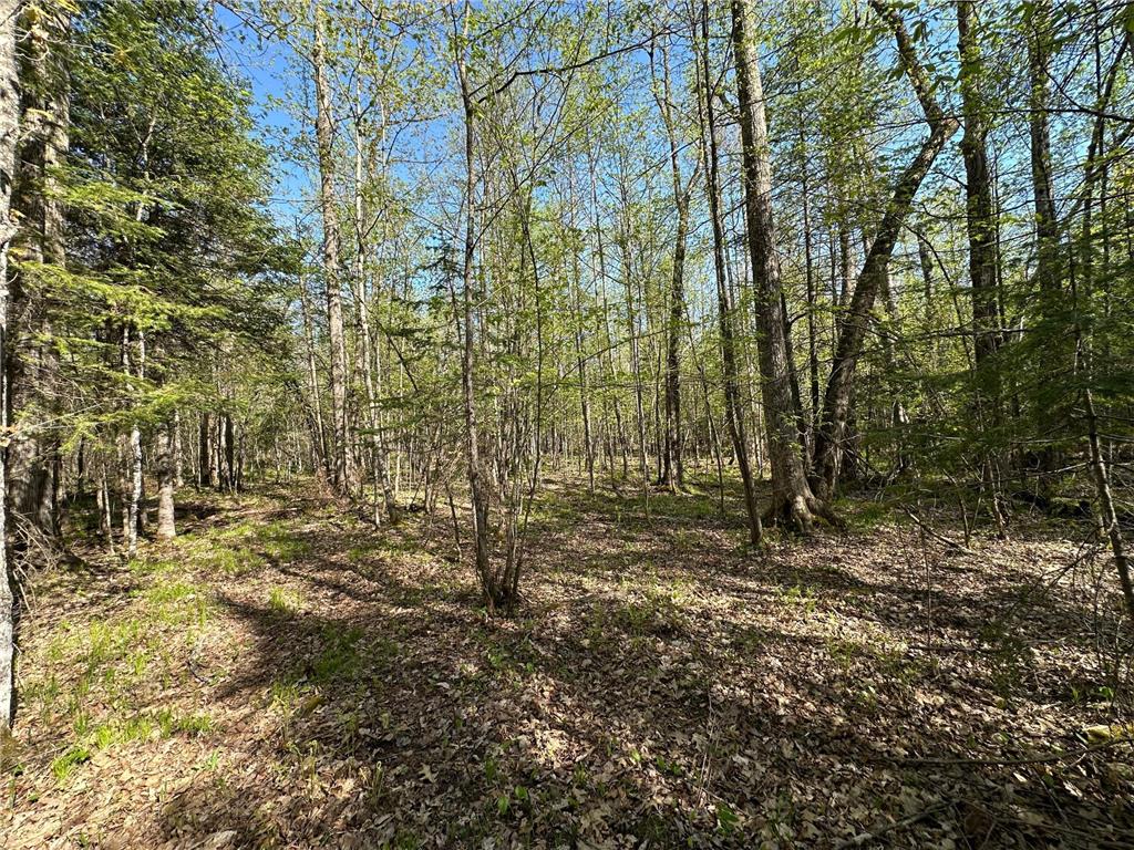 xxx Elm Road Barnum MN 55707 6721274 image7