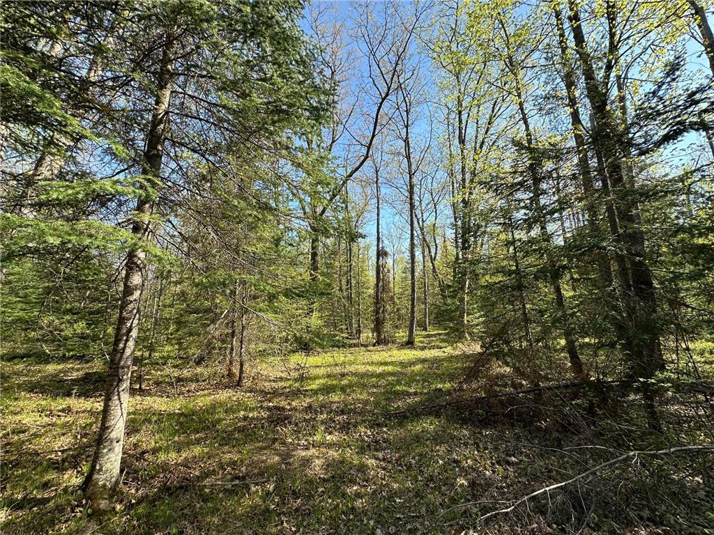 xxx Elm Road Barnum MN 55707 6721274 image9