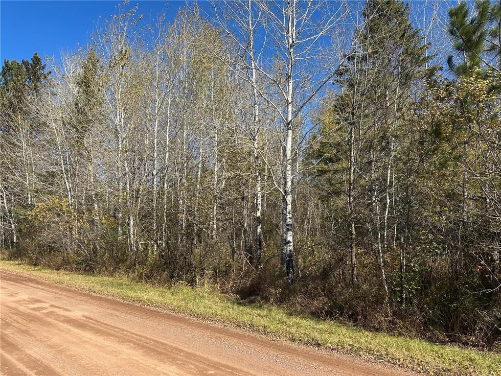 xxx Elm Street Bruno MN 55712 6272895 image1