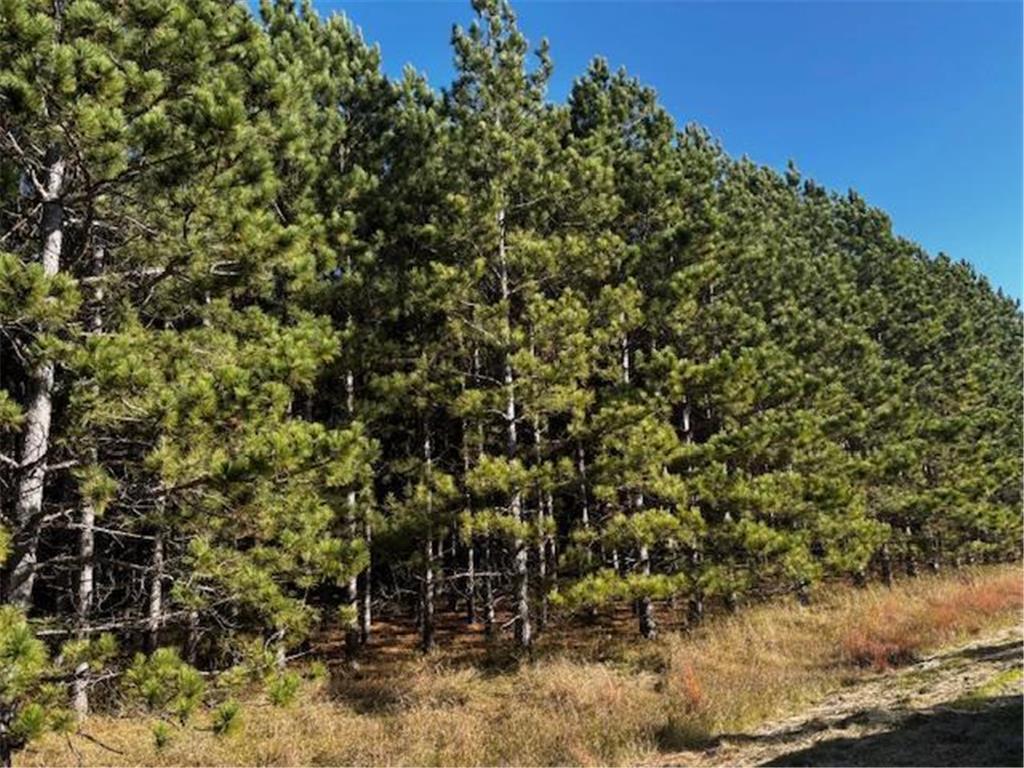 xxx Emerald Court NE Carlos MN 56319 6809243 image1