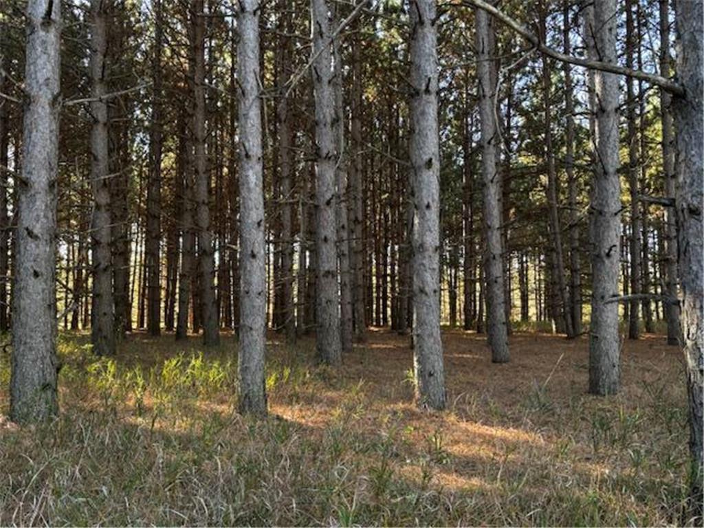 xxx Emerald Court NE Carlos MN 56319 6809243 image3