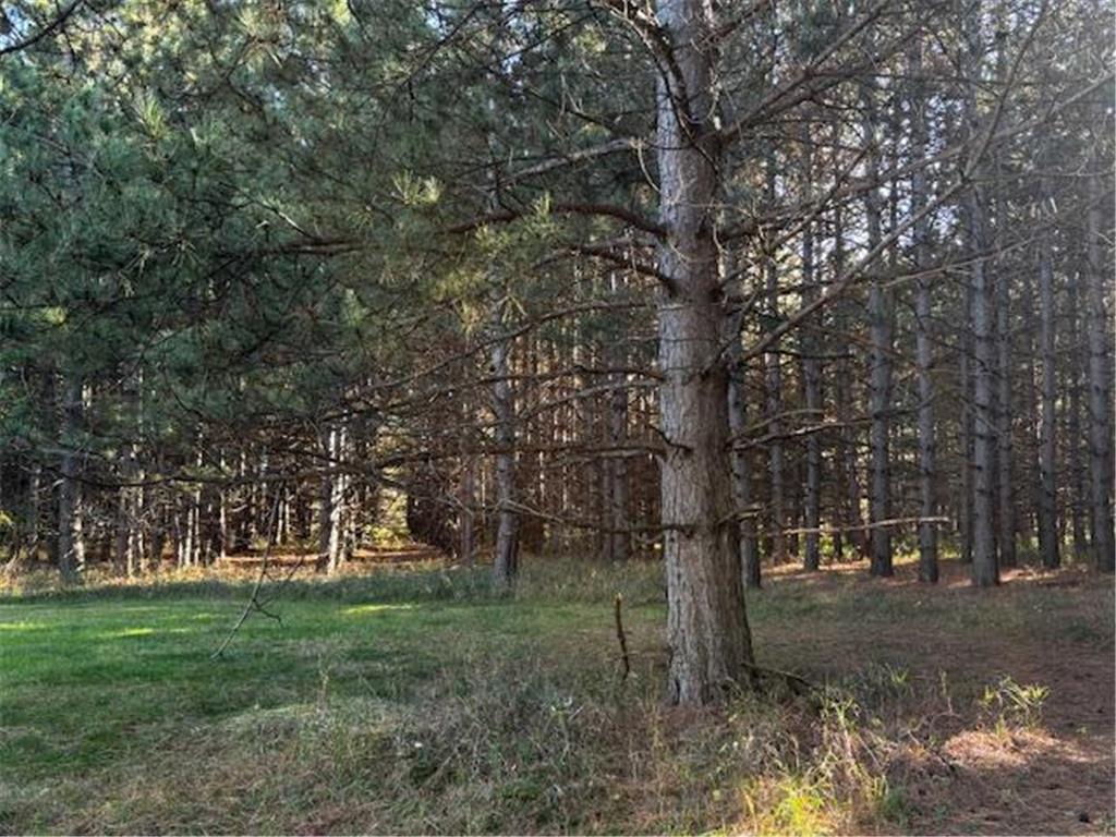 xxx Emerald Court NE Carlos MN 56319 6809243 image4