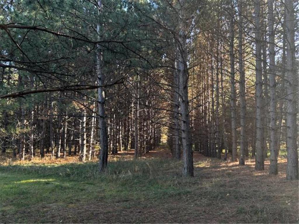 xxx Emerald Court NE Carlos MN 56319 6809243 image5