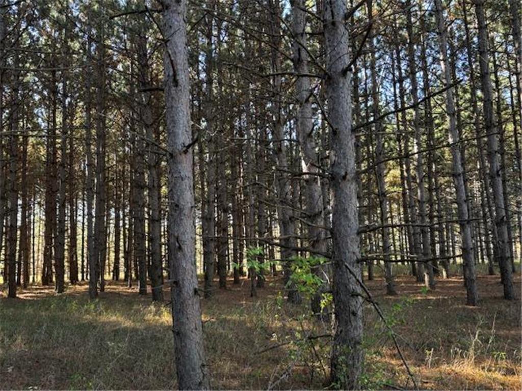 xxx Emerald Court NE Carlos MN 56319 6809243 image6