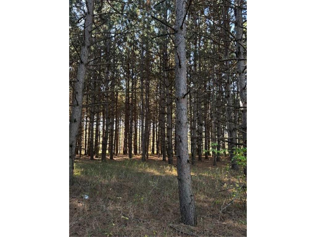 xxx Emerald Court NE Carlos MN 56319 6809243 image7