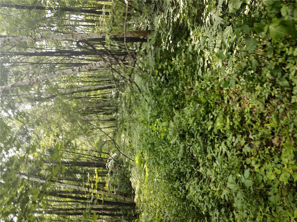 xxx Estate Road Bruno Twp MN 55712 6394552 image1