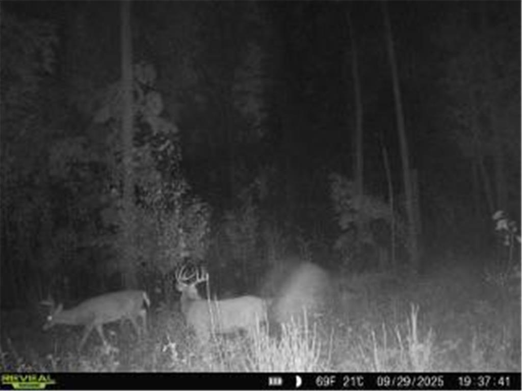 xxx Fleming Logging Road Danforth Twp MN 55037 7077710 image4