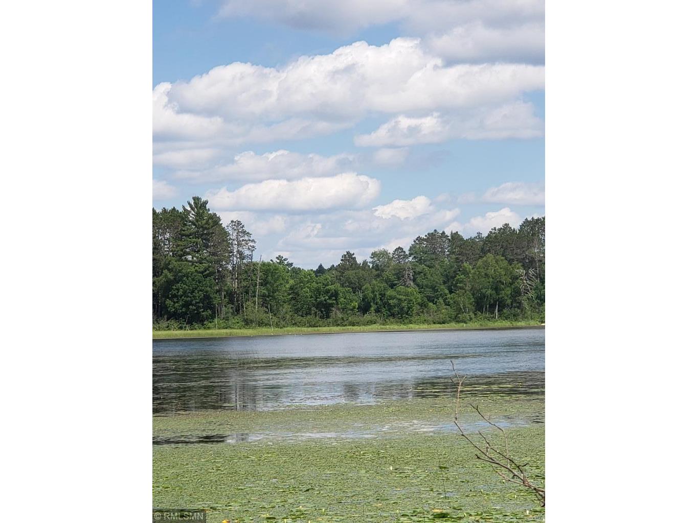 xxx Fools Lake Drive, Two Inlets Twp, MN, 56470 MLS 5257134 Edina