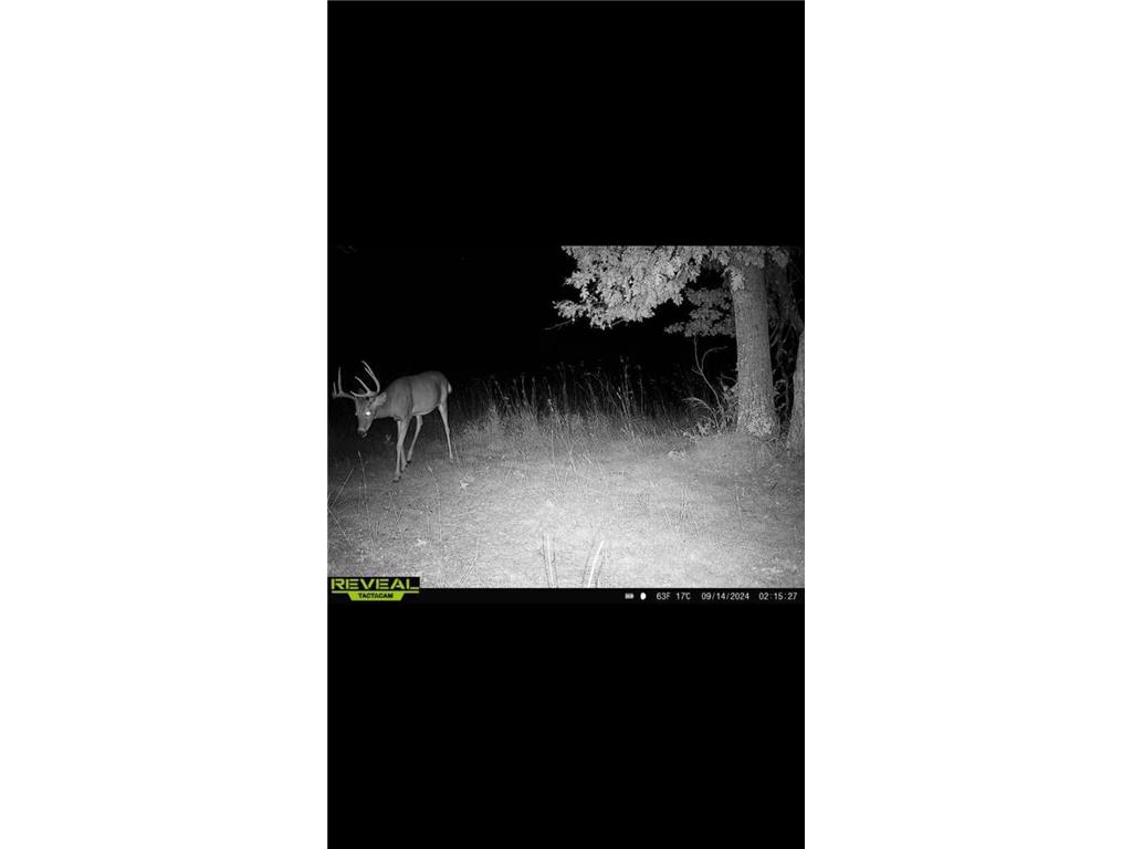 xxx Gould Gray Road N Brainerd MN 56401 6674008 image1