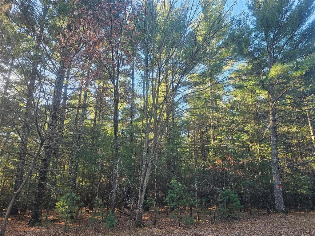 xxx Harmon Avenue E Grantsburg WI 54840 6820322 image1