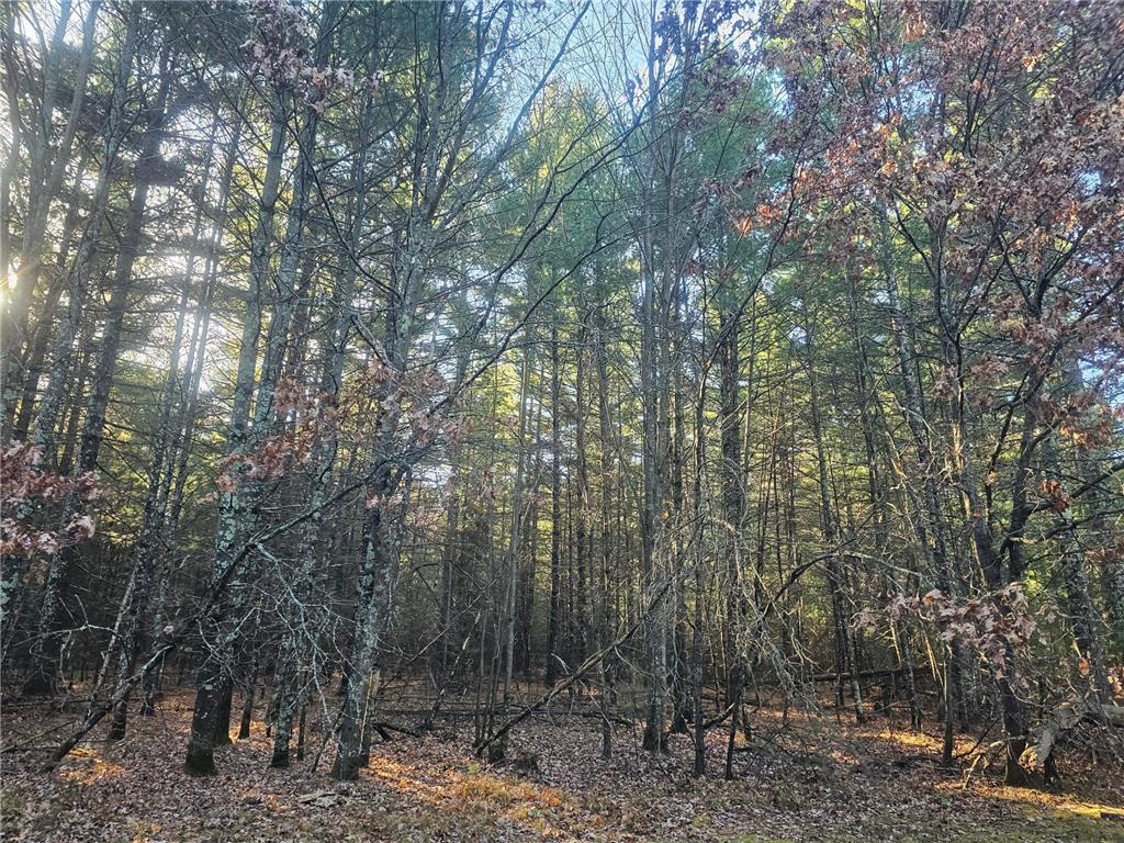 xxx Harmon Avenue E Grantsburg WI 54840 6820322 image10