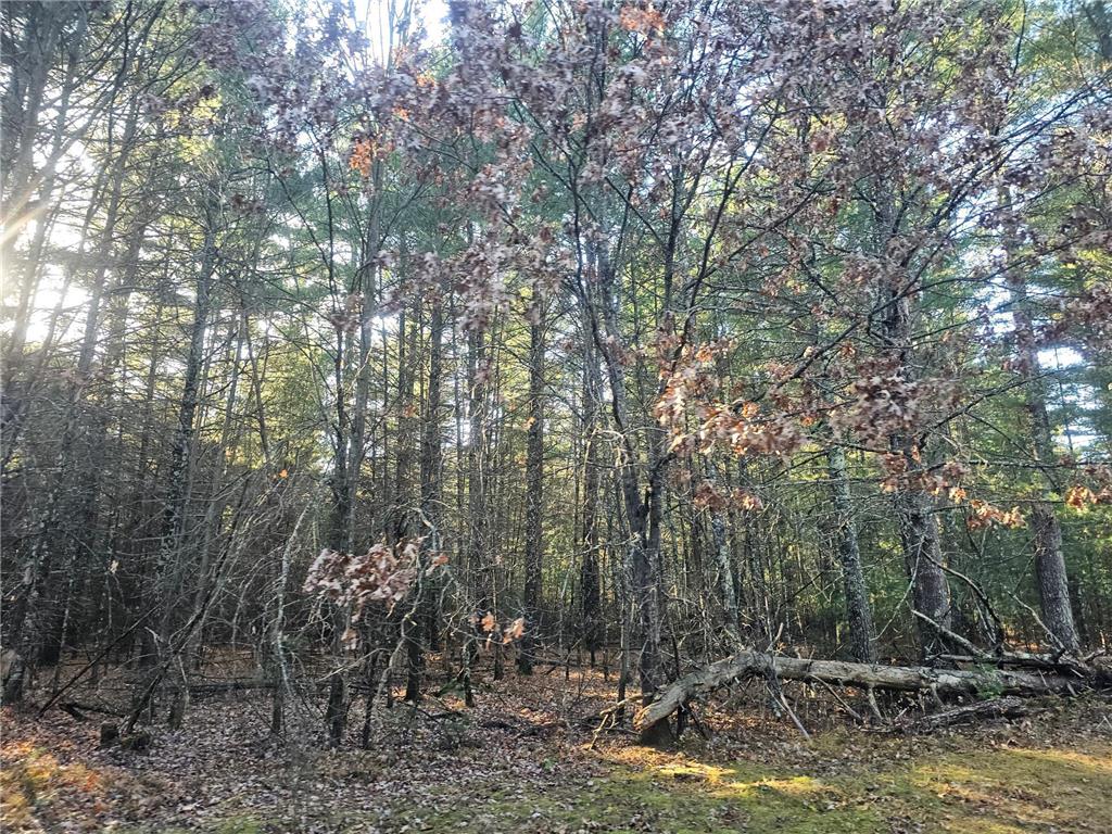 xxx Harmon Avenue E Grantsburg WI 54840 6820322 image13