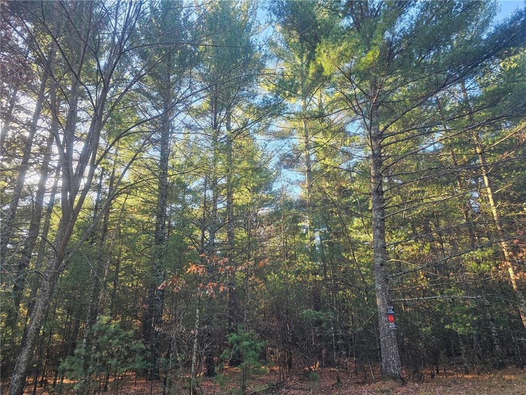 xxx Harmon Avenue E Grantsburg WI 54840 6820322 image2