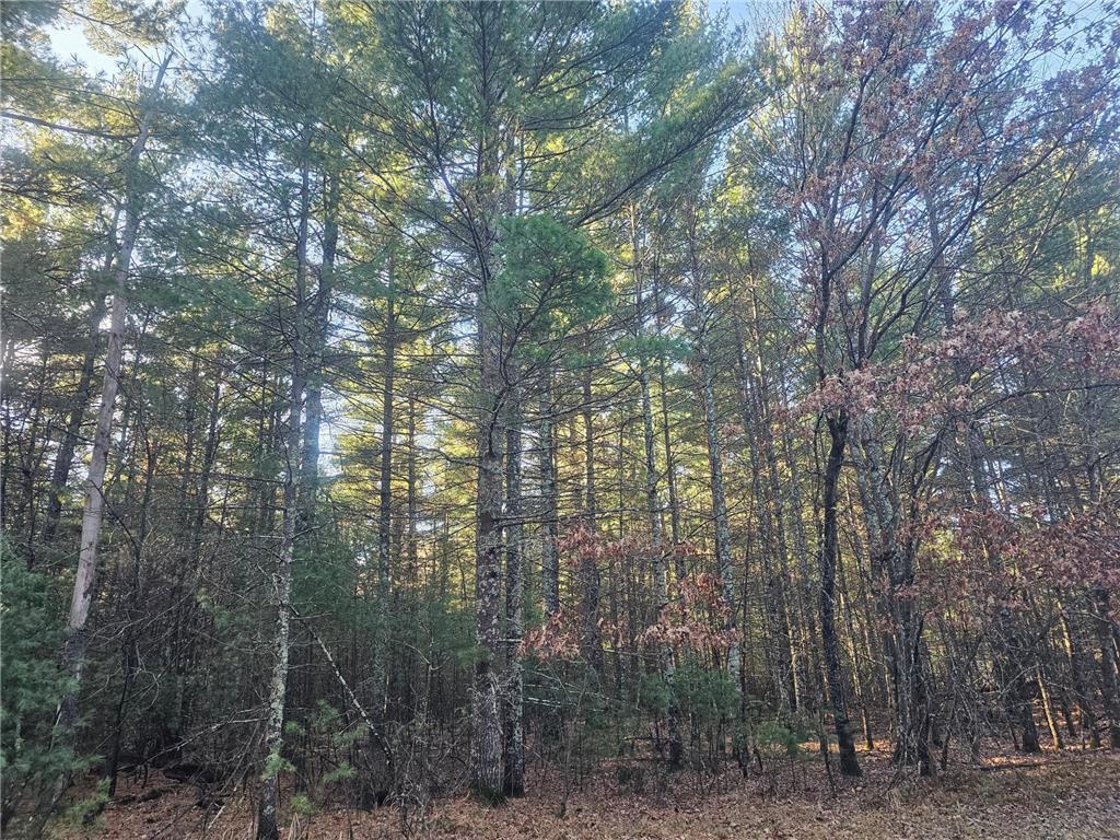 xxx Harmon Avenue E Grantsburg WI 54840 6820322 image4