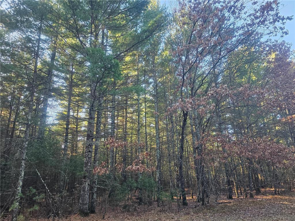 xxx Harmon Avenue E Grantsburg WI 54840 6820322 image5