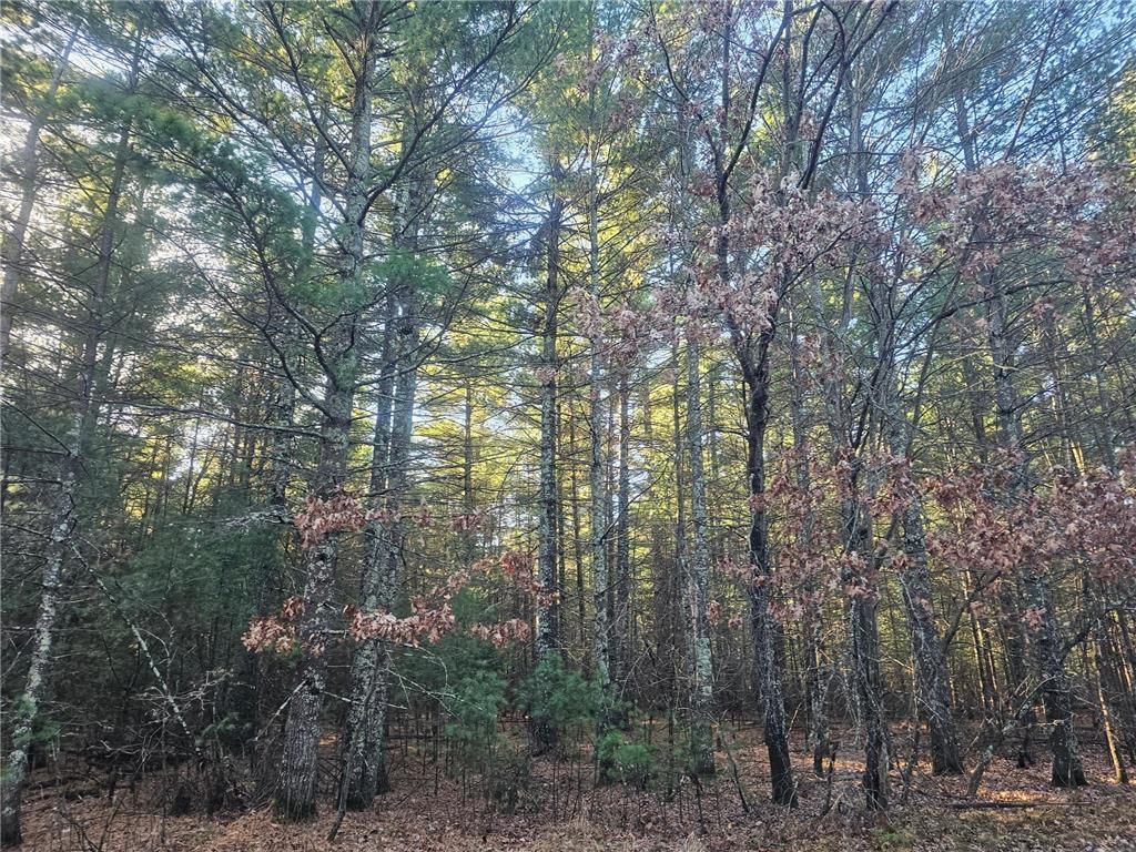 xxx Harmon Avenue E Grantsburg WI 54840 6820322 image9