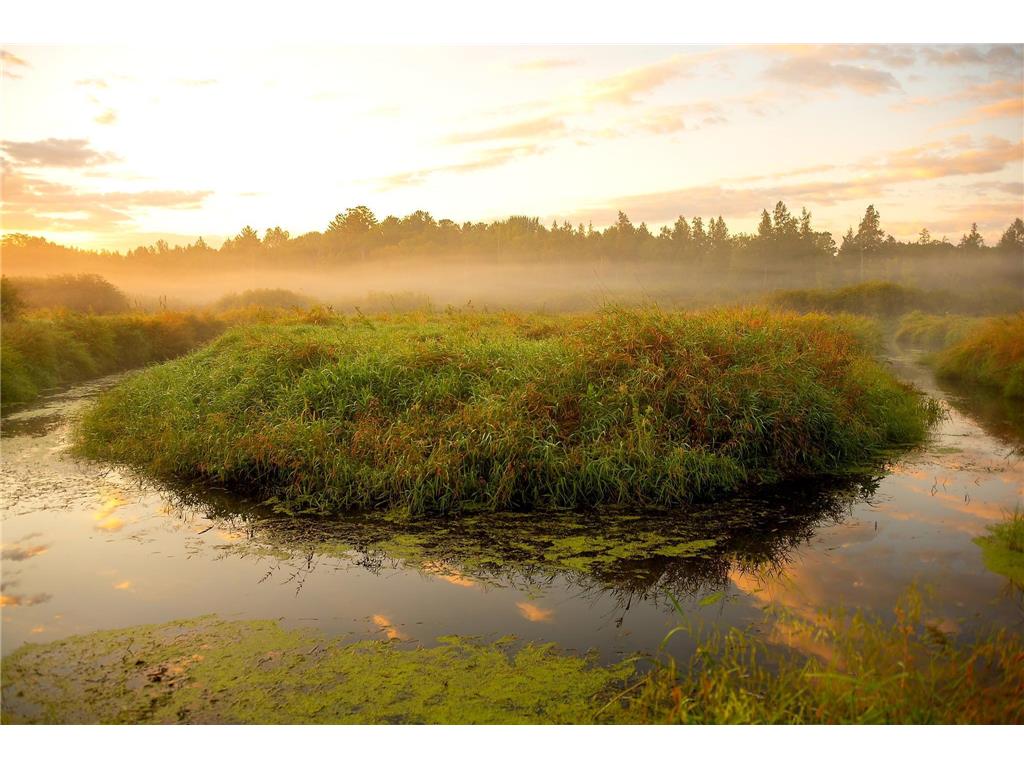 37325 Hastings Avenue NE Stanchfield Twp MN 55080 - Stanchfield Creek 6544649 image1